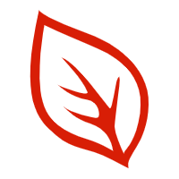 茶叶